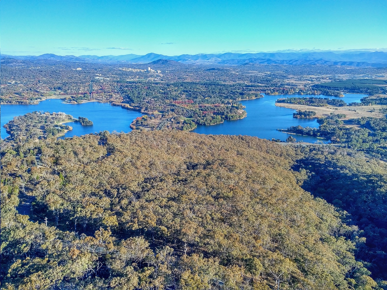 canberra bush capital