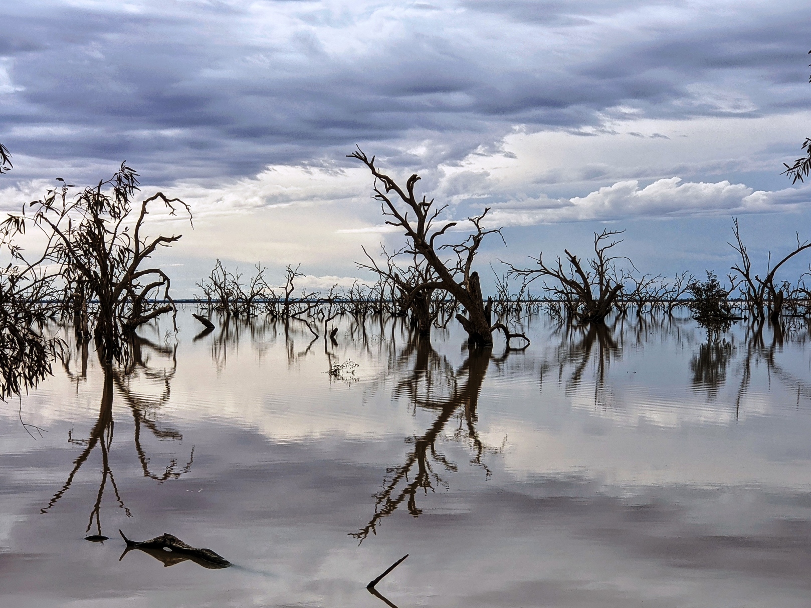 pamamaroo lake