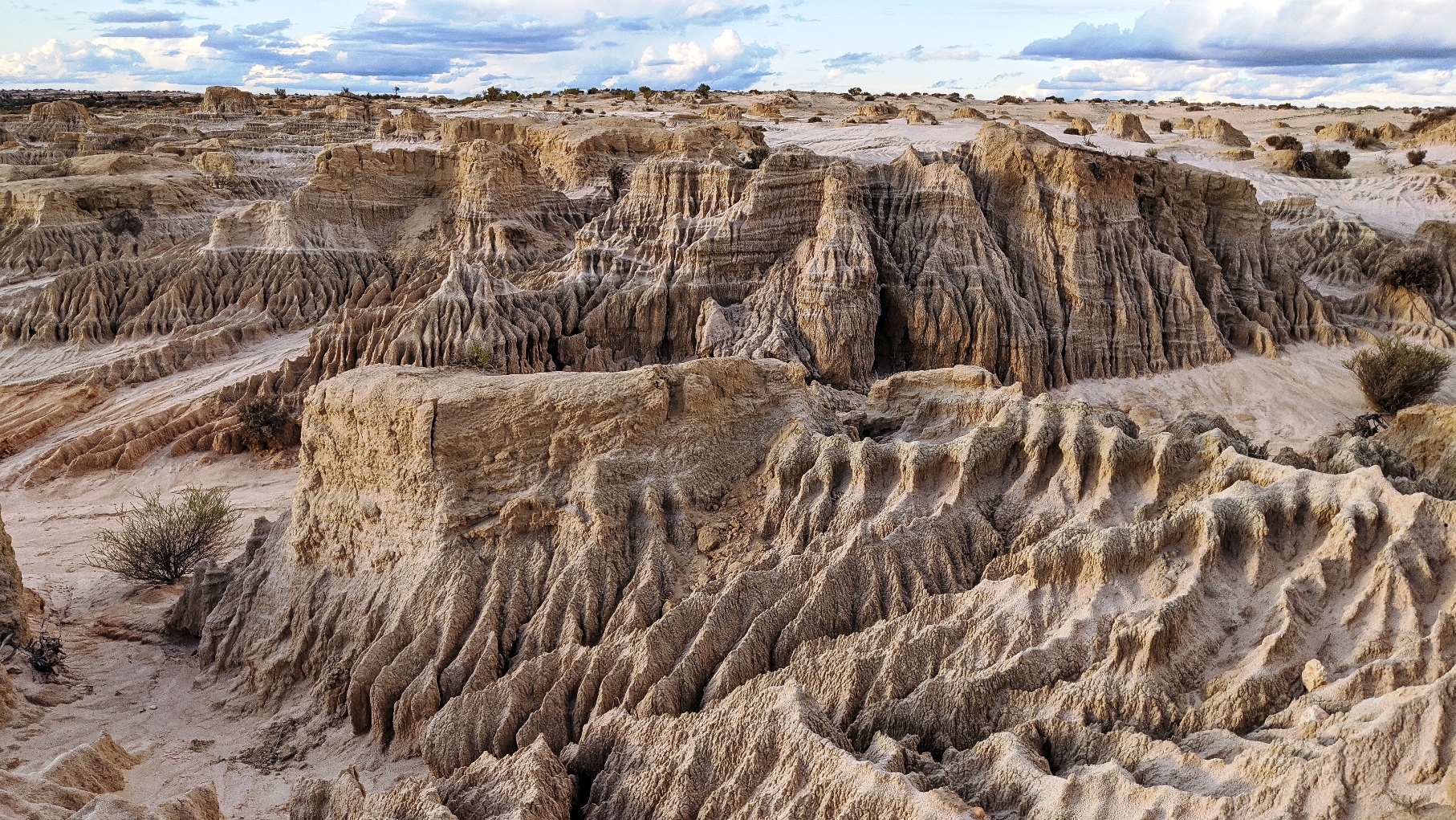 mungo great walls of china