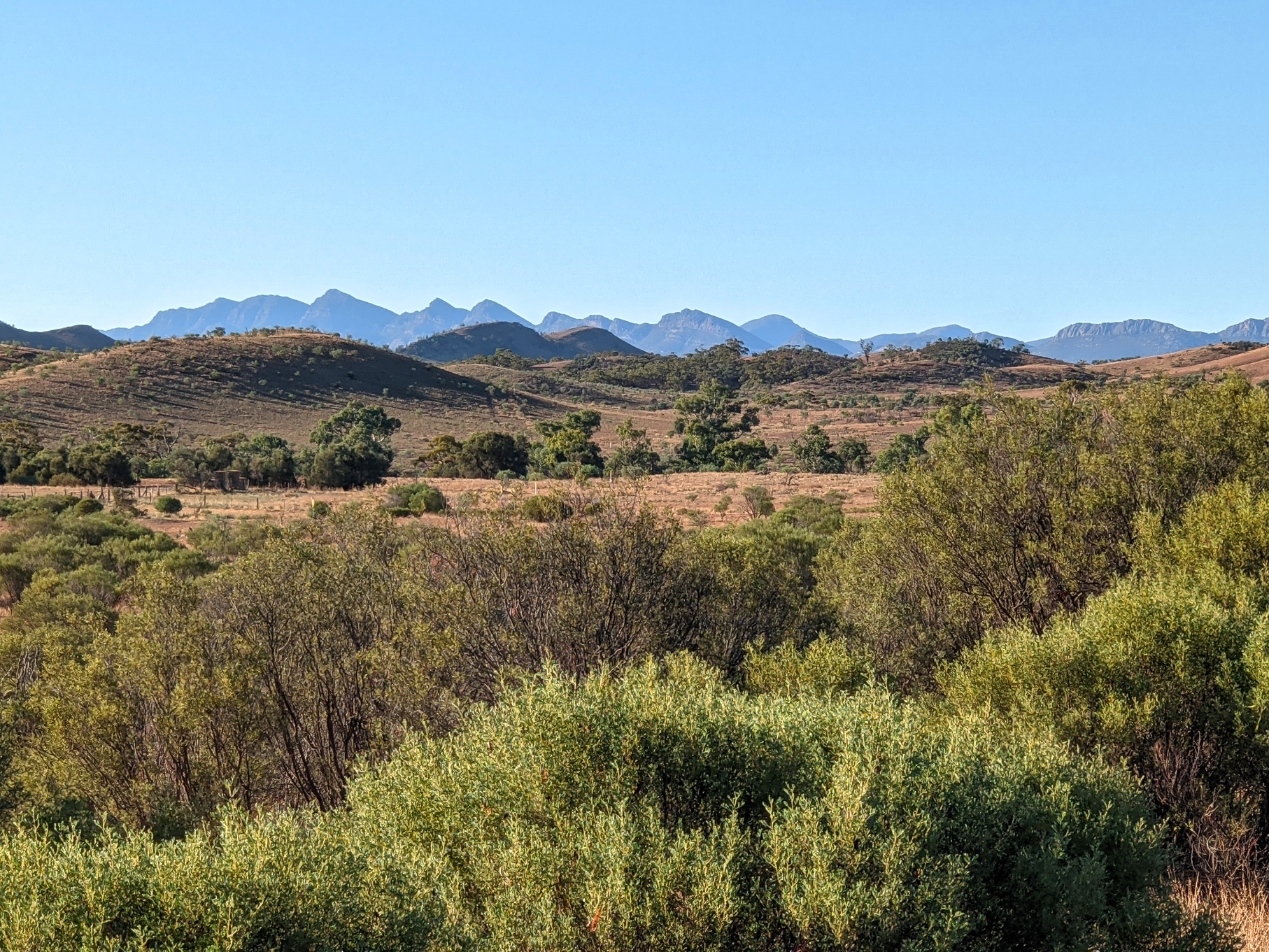 flinders ranges landscape