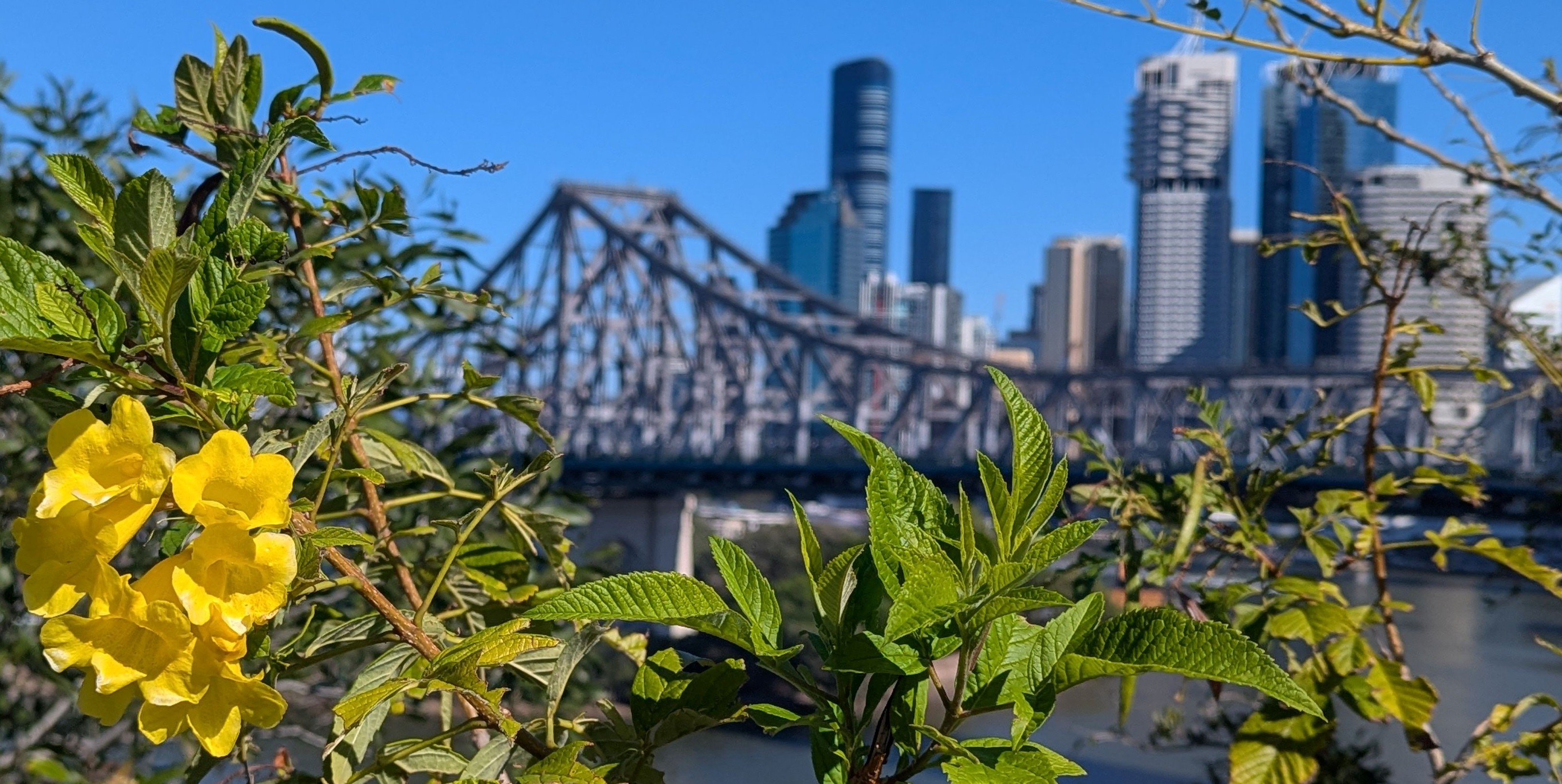 Story Bridge
