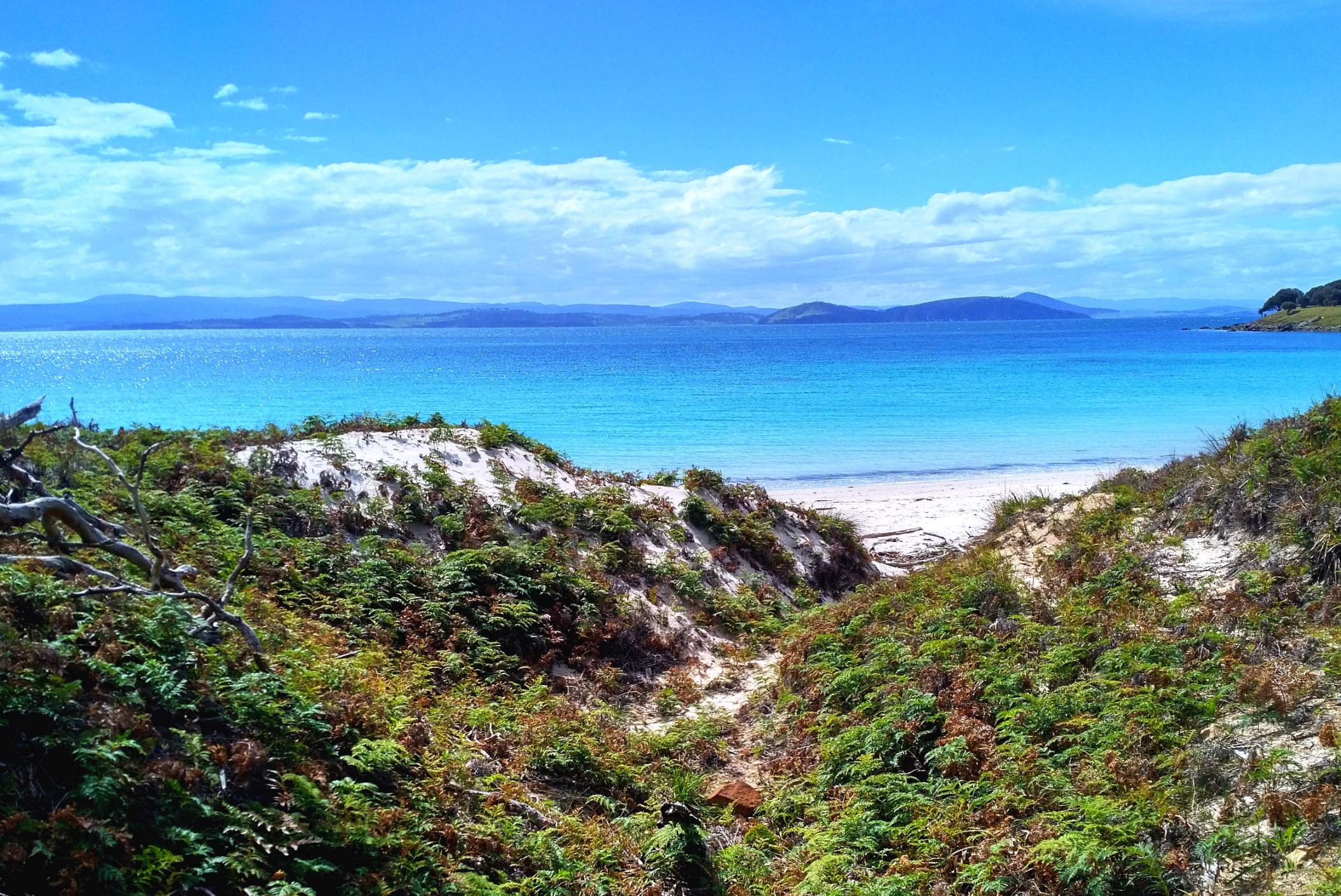 maria island tasmania