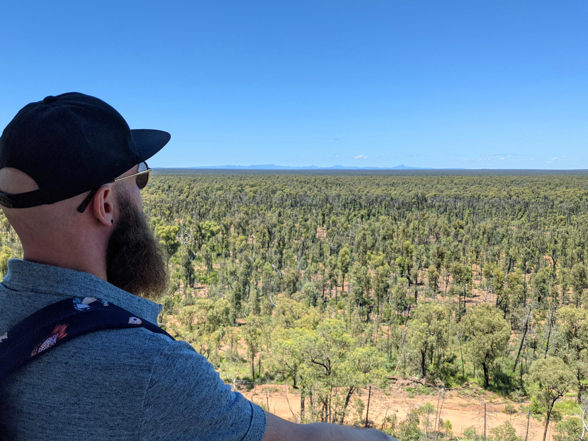 pilliga forests