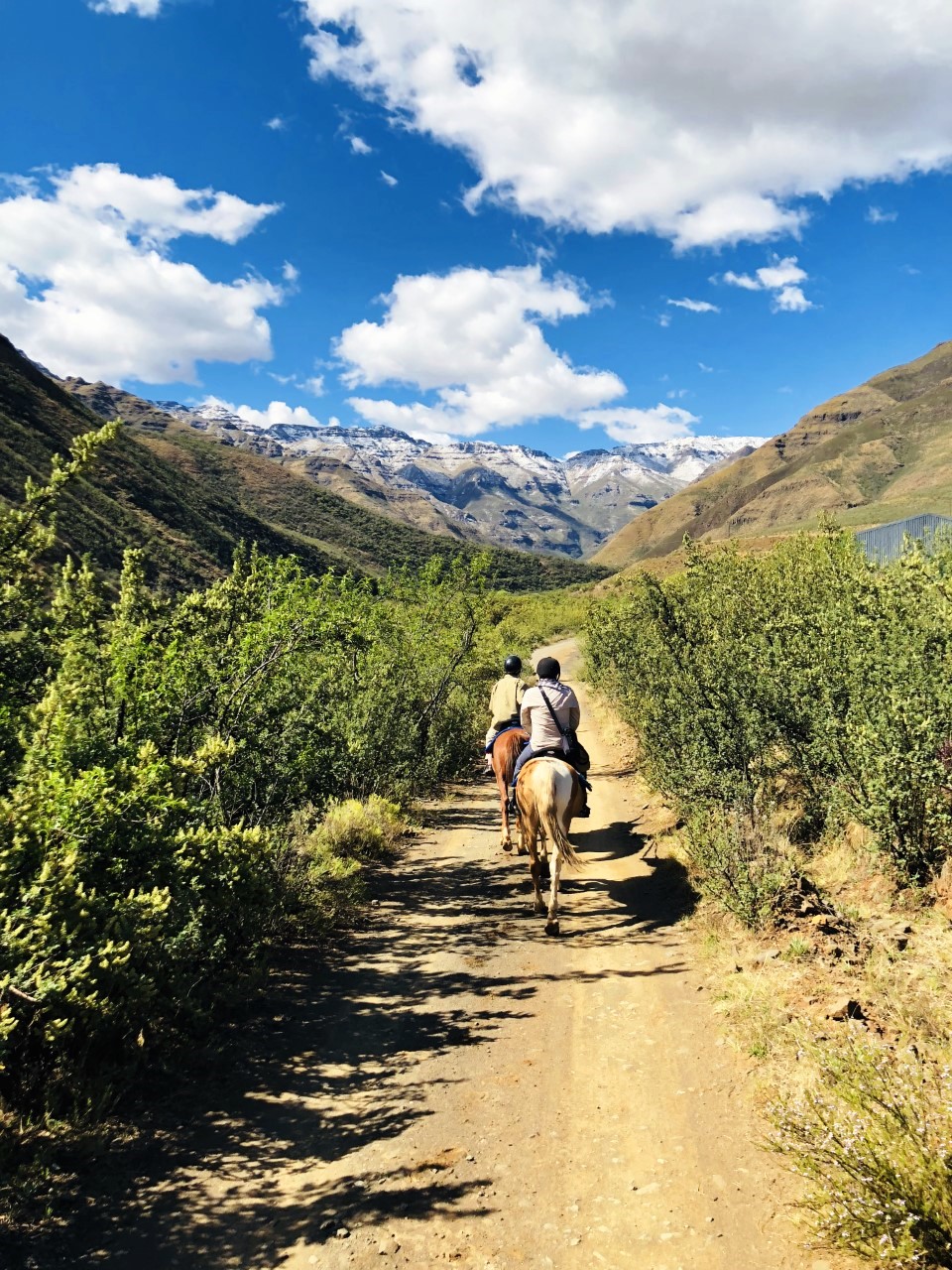 lesotho horse trekking