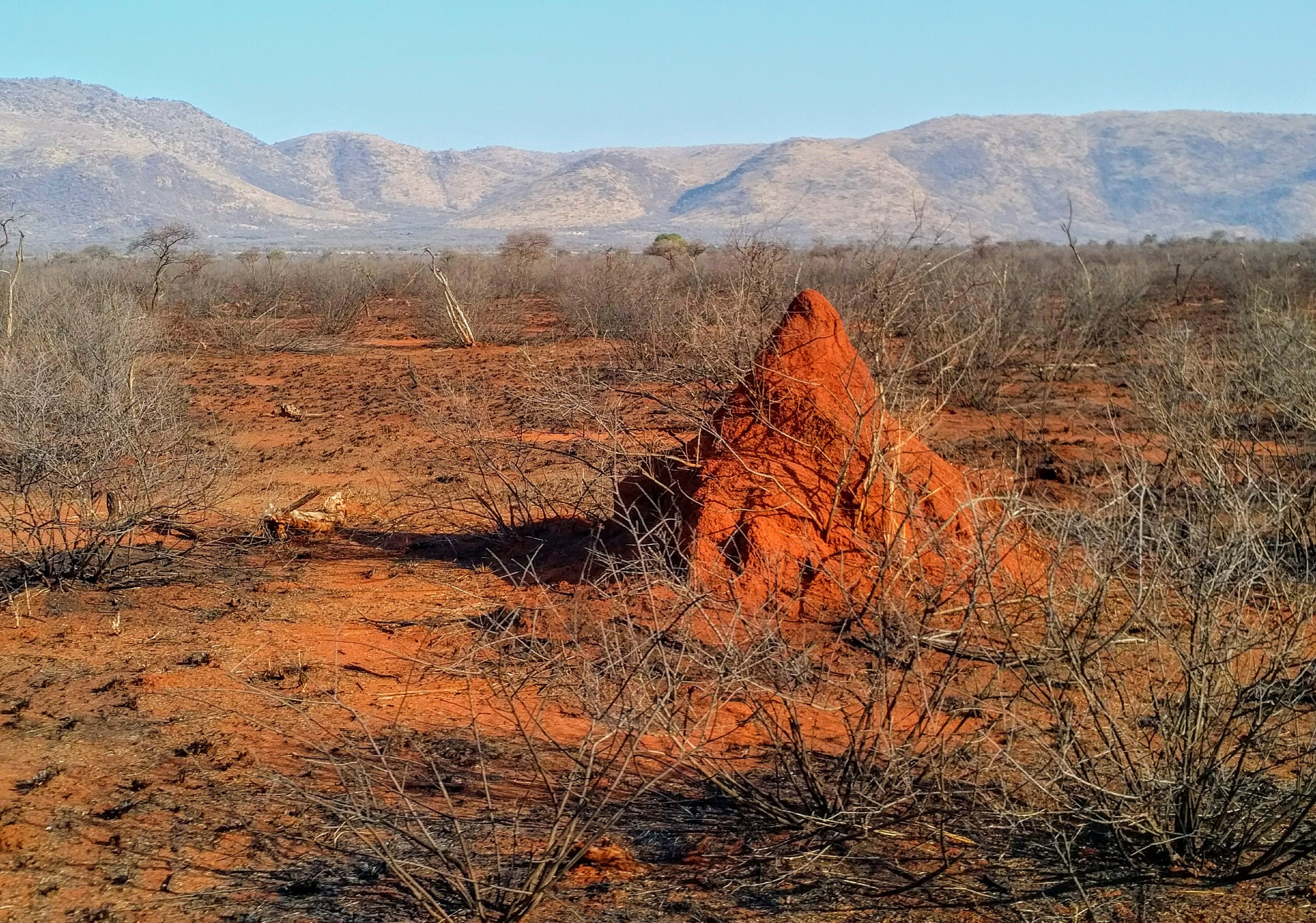 pilansberg south africa