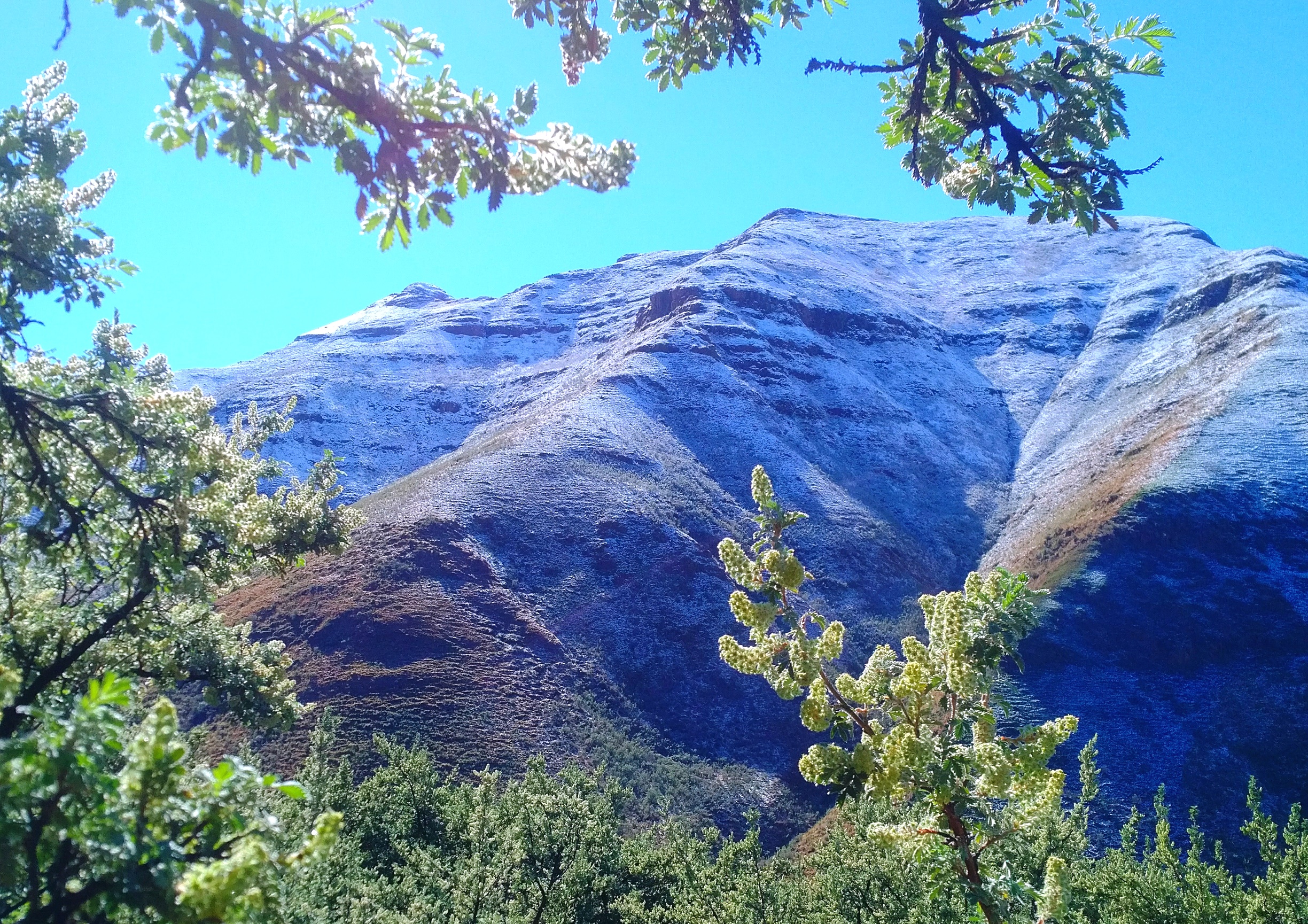 lesotho snowy mountains