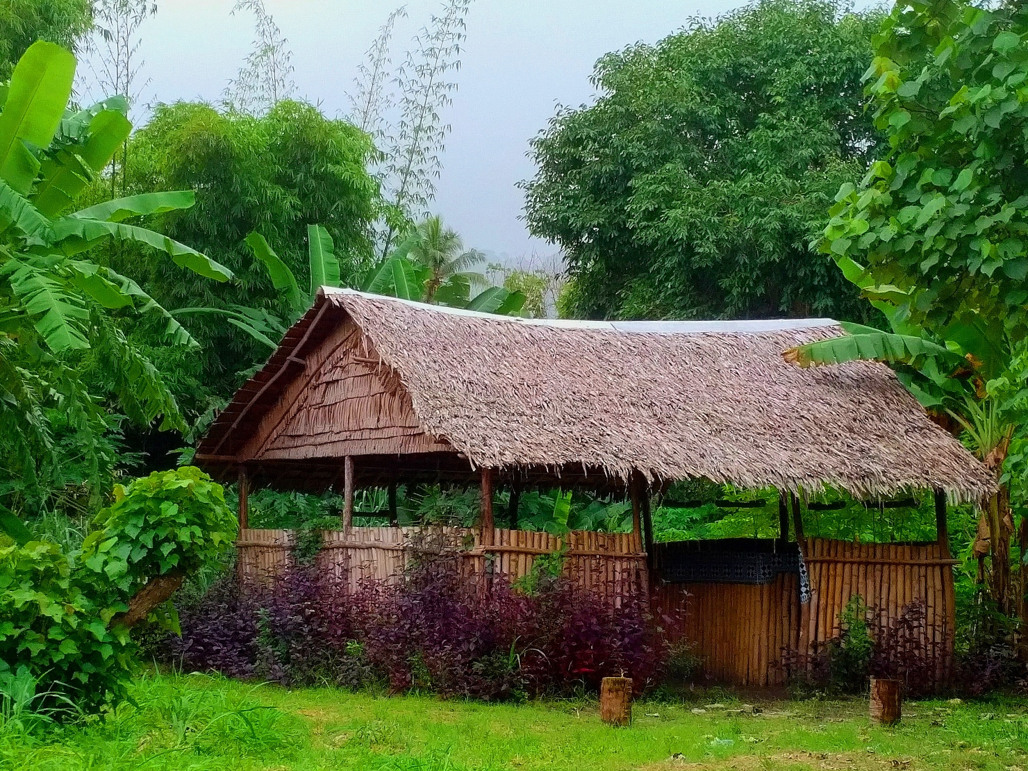 vanuatu shack