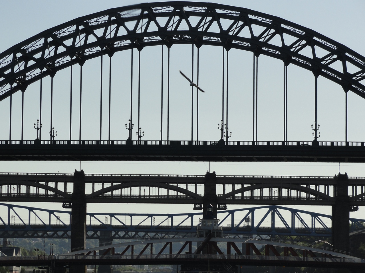 newcastle-upon-tyne bridges