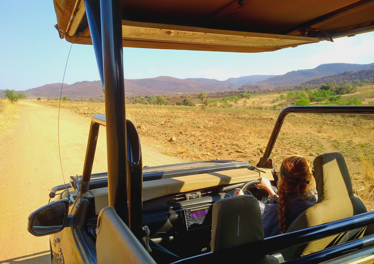pilanesberg safari