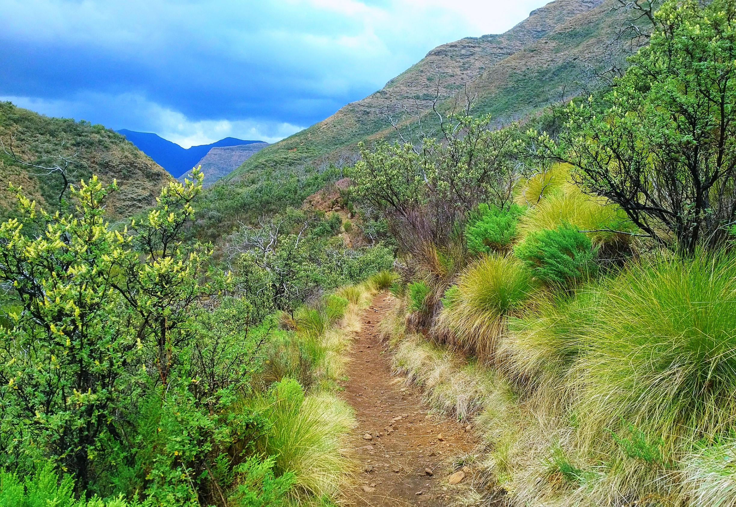 losotho hiking