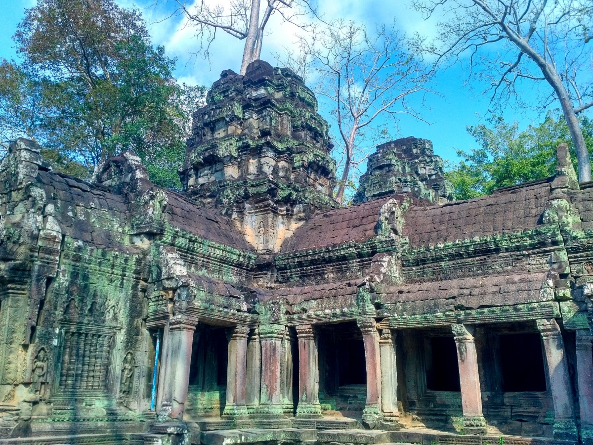 jungle temple siem reap