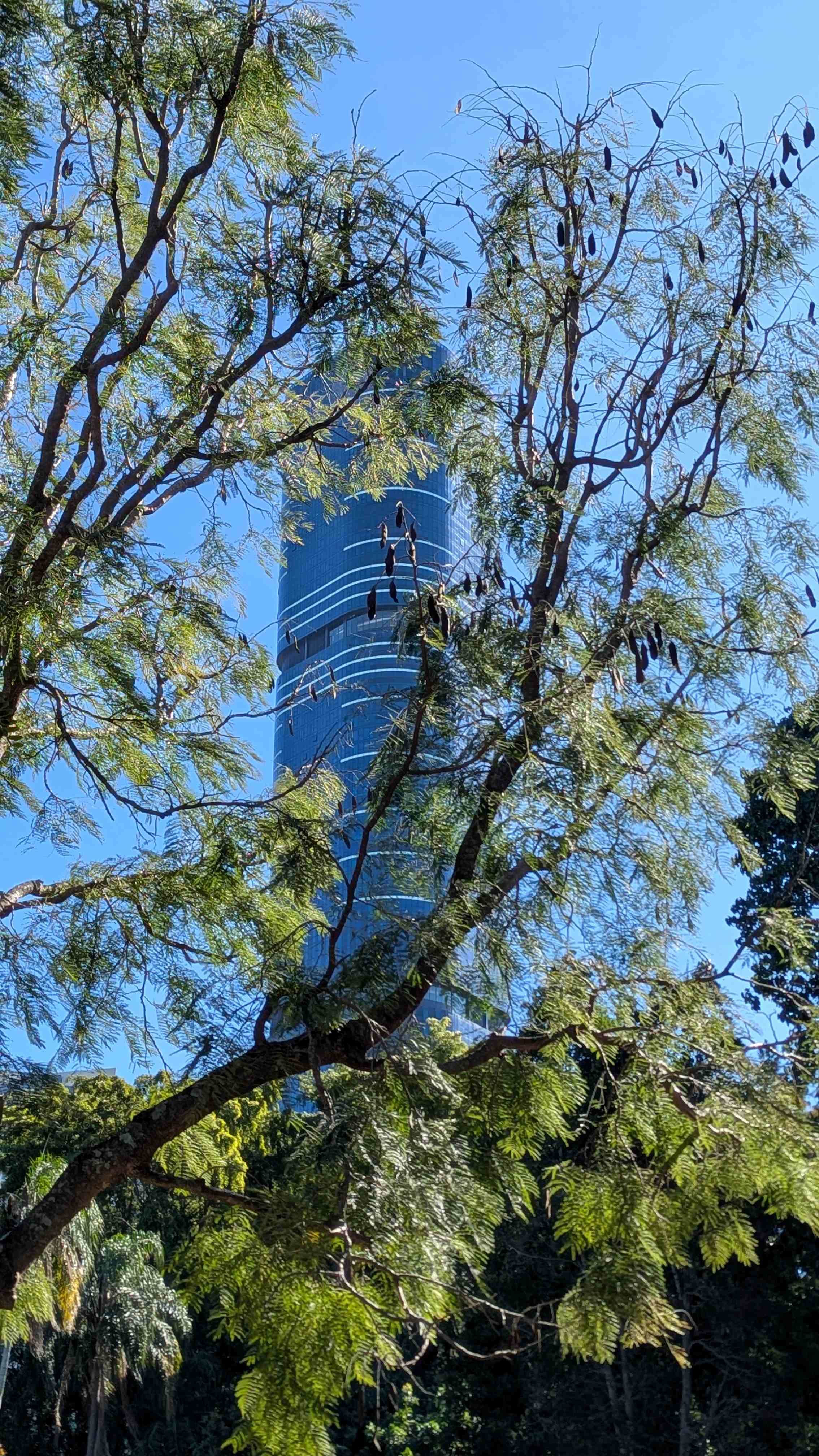 green Brisbane