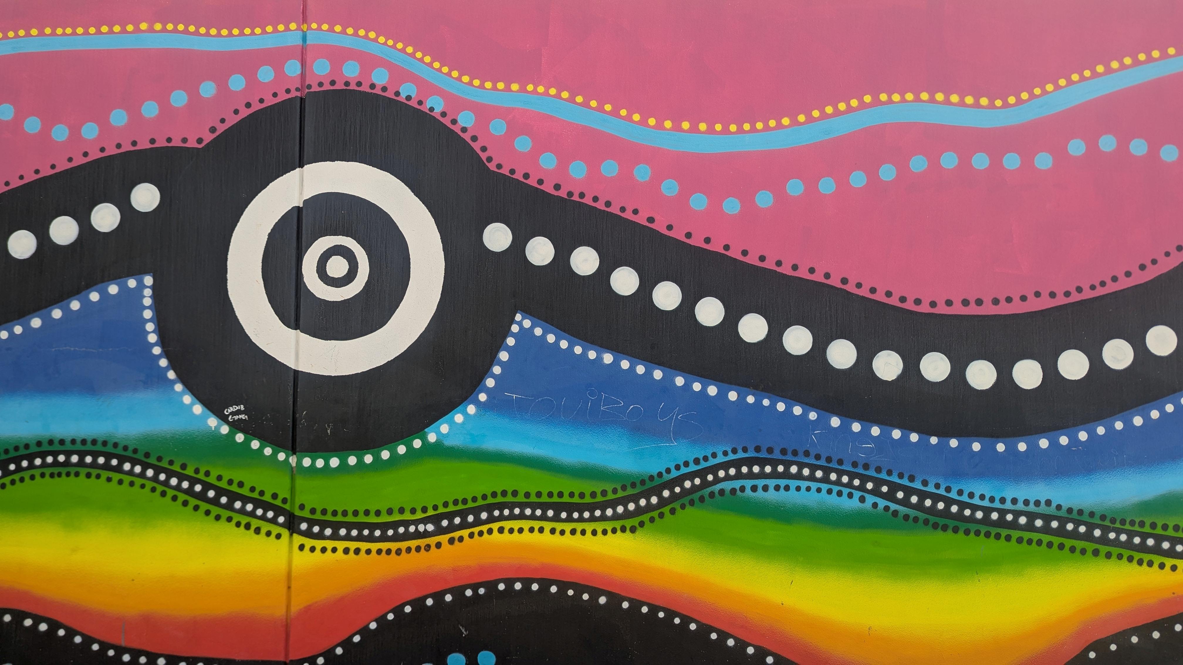 darwion indigenous murals