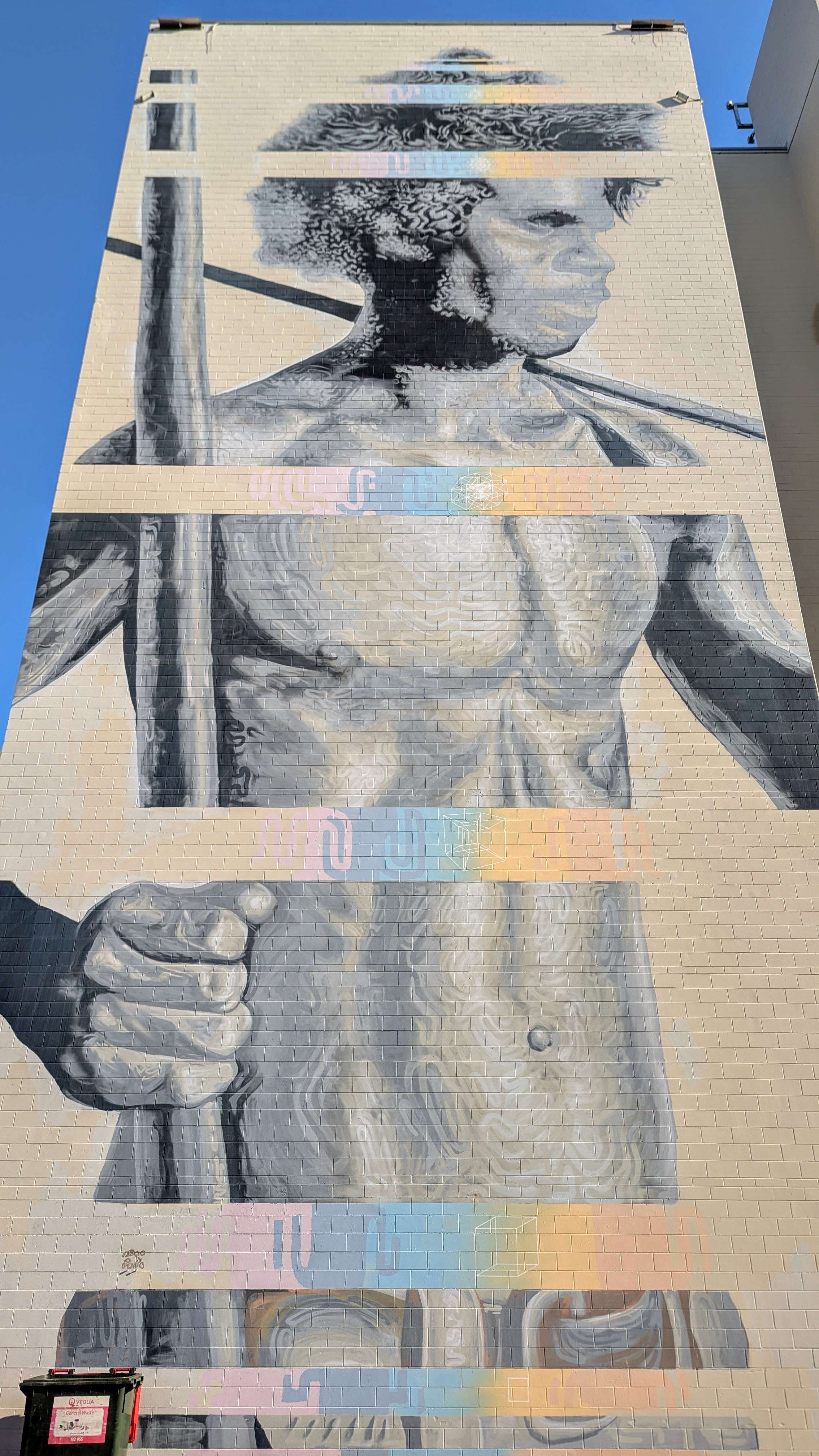 darwin mural