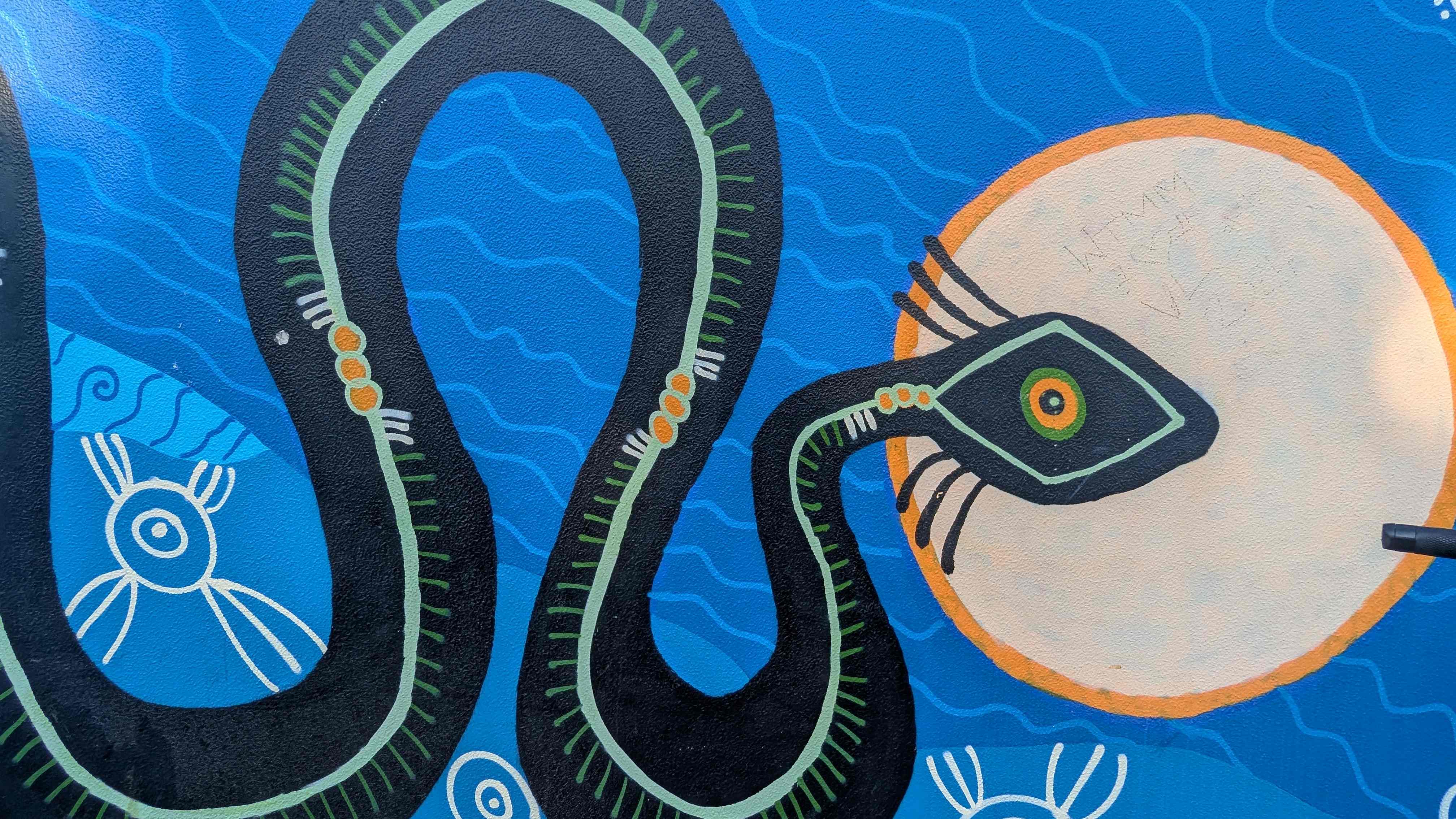darwion indigenous murals