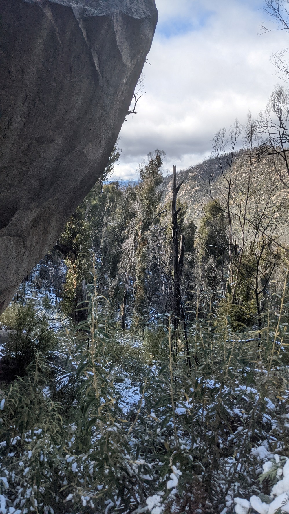 booroomba rocks landscape