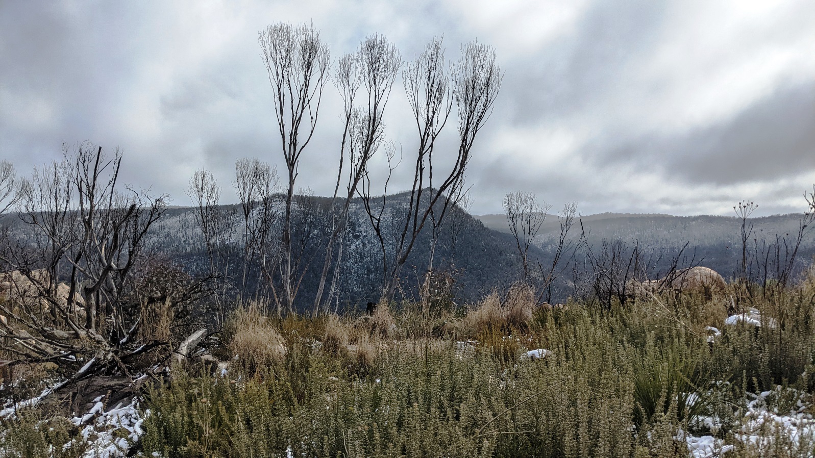 booroomba rocks landscape