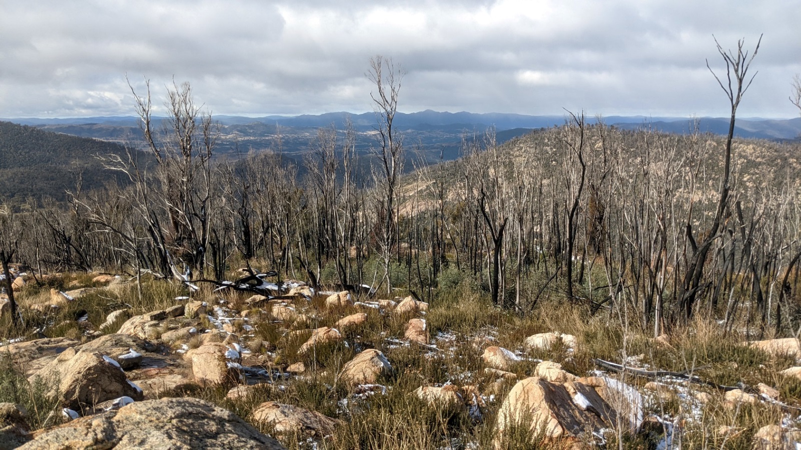 booroomba rocks landscape