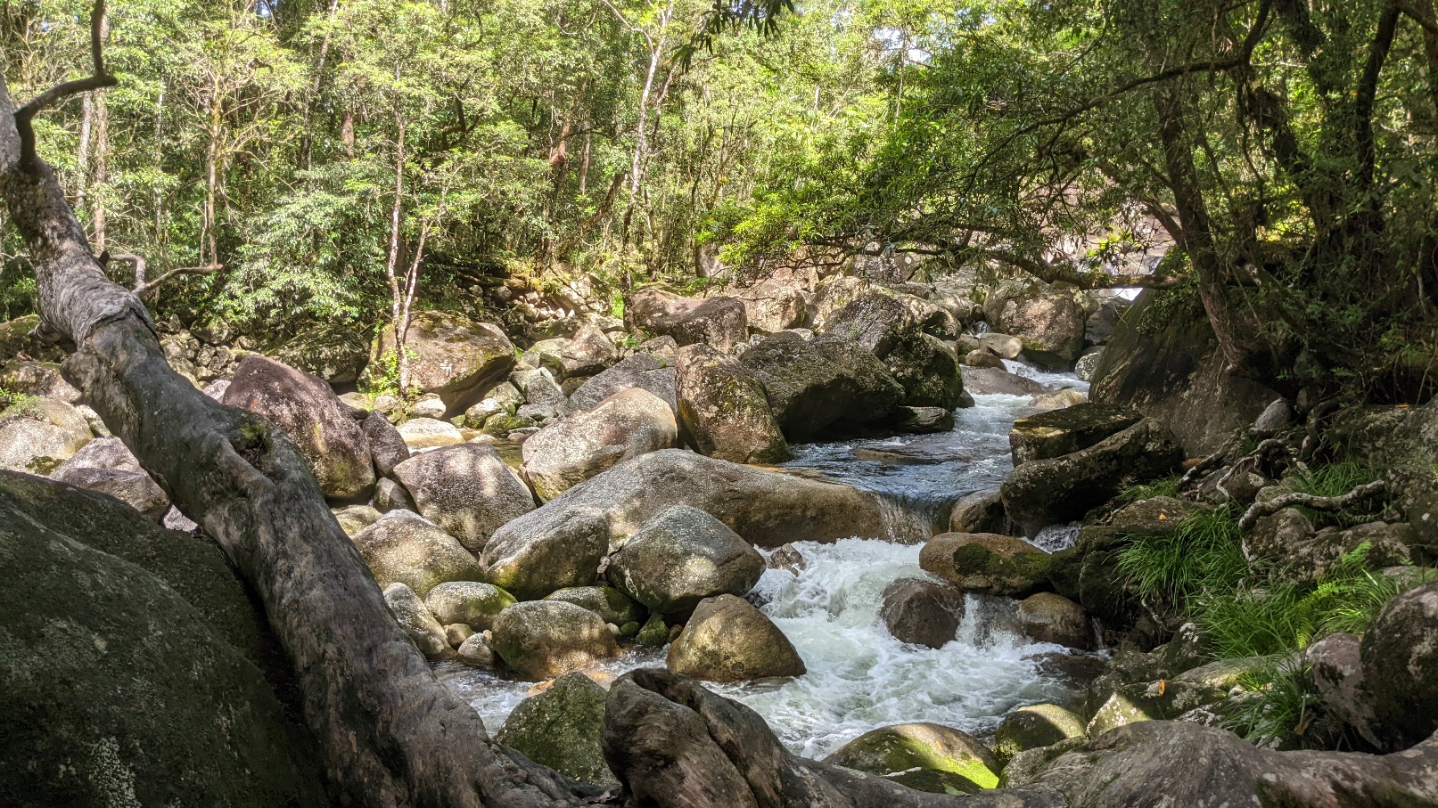 mossman canyon queensland