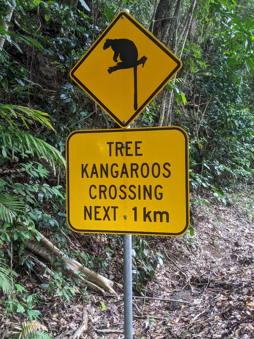 australia wildlife sign tree kangaroo