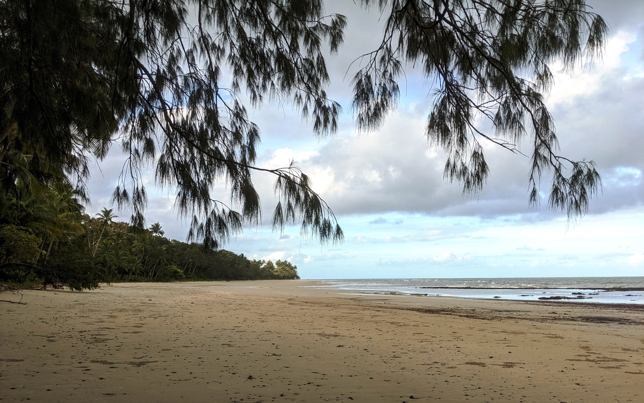 deserted beach cape tribulation