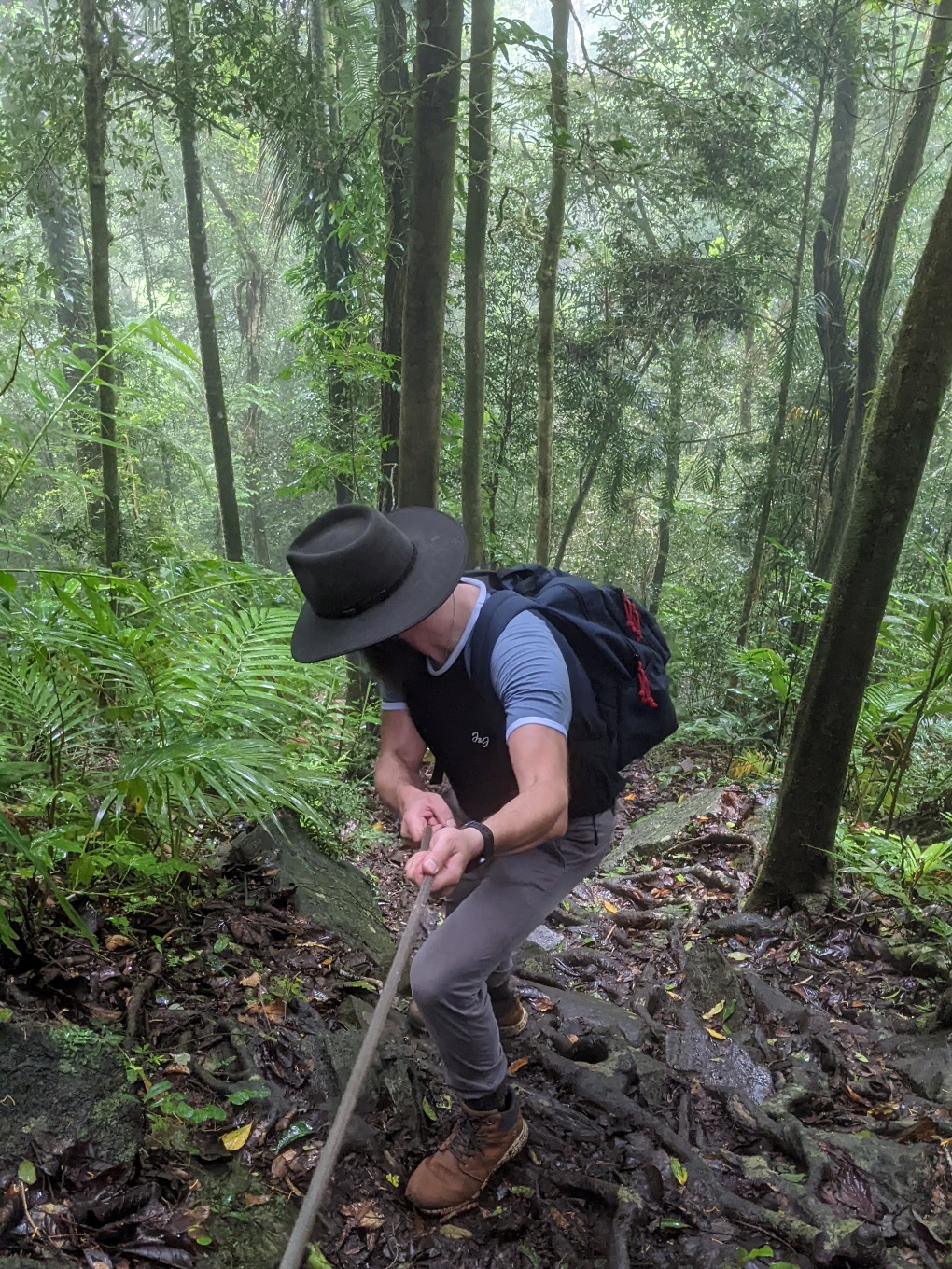 mount sorrow ridge trail 