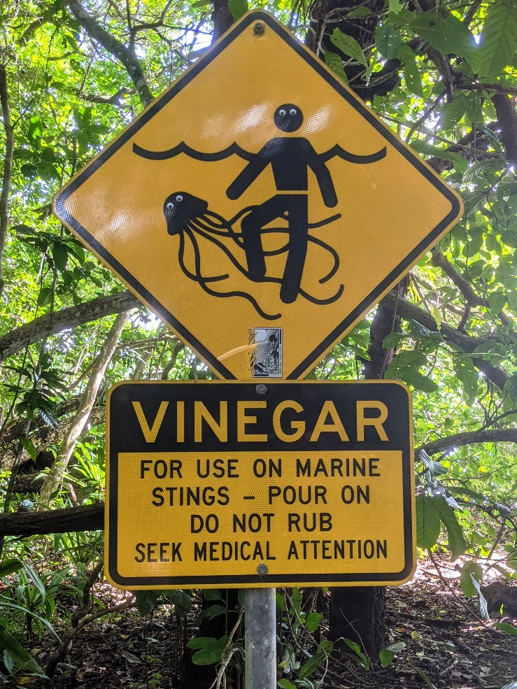 australia wildlife sign jellyfish