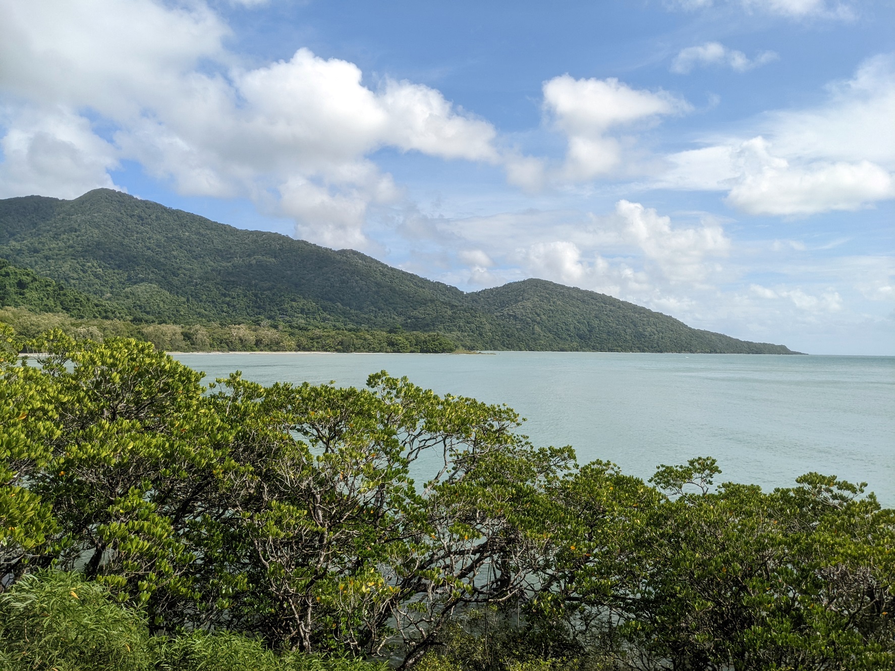 kulki lookout cape tribulation