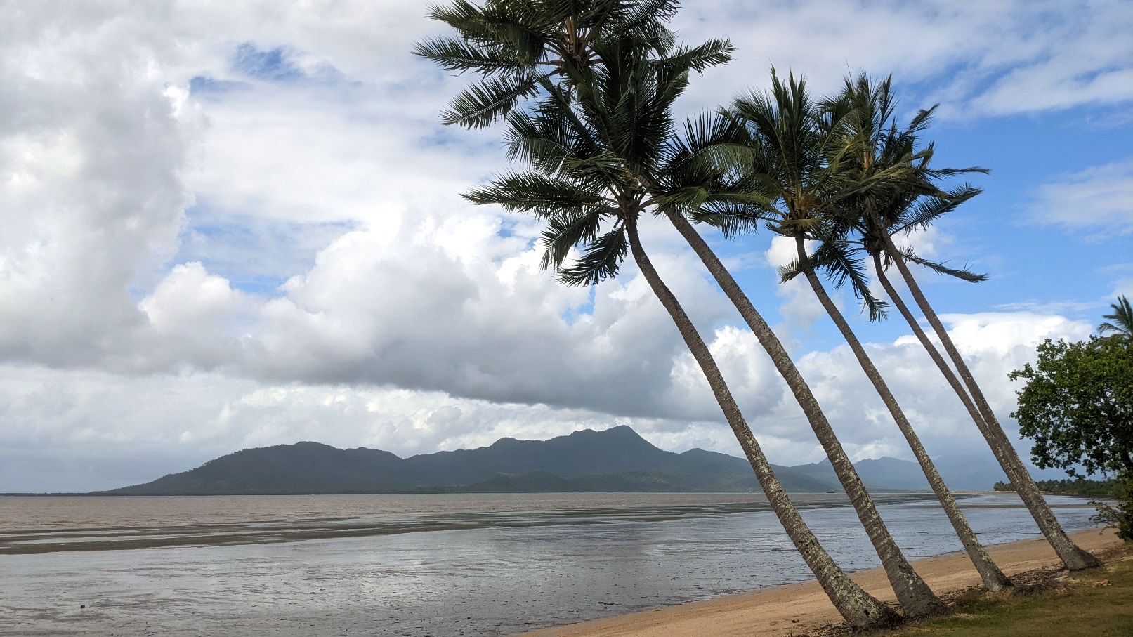 cardwell beach queensland