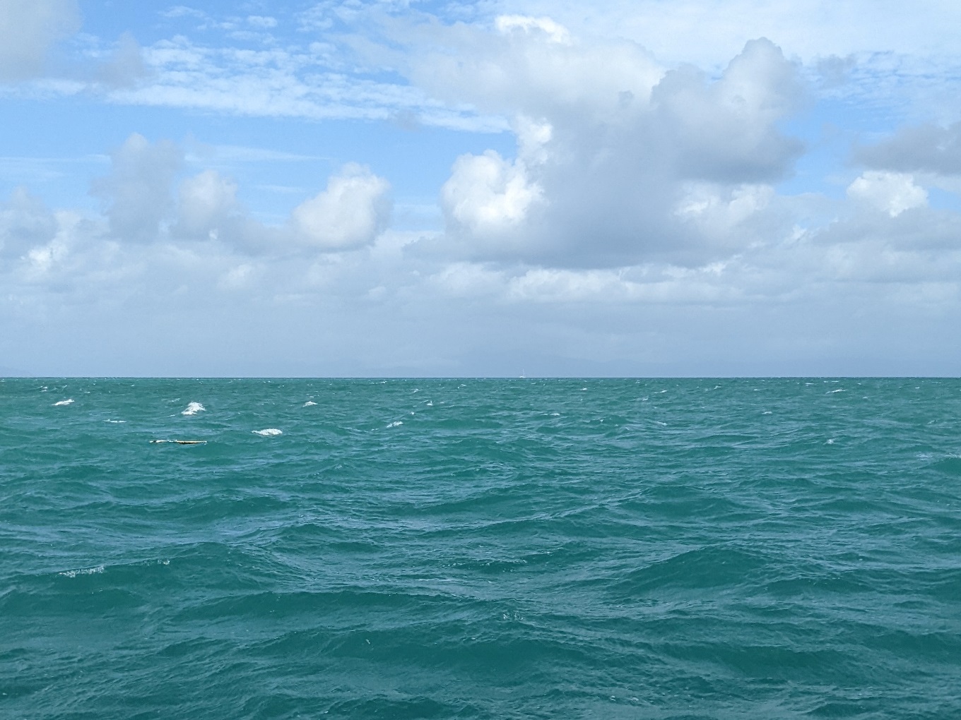 coral sea great barrier reef