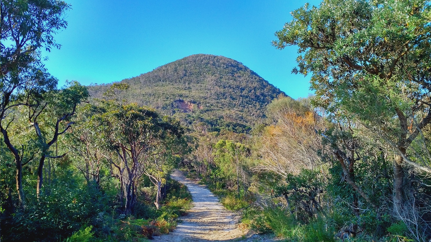 Mount Tomaree