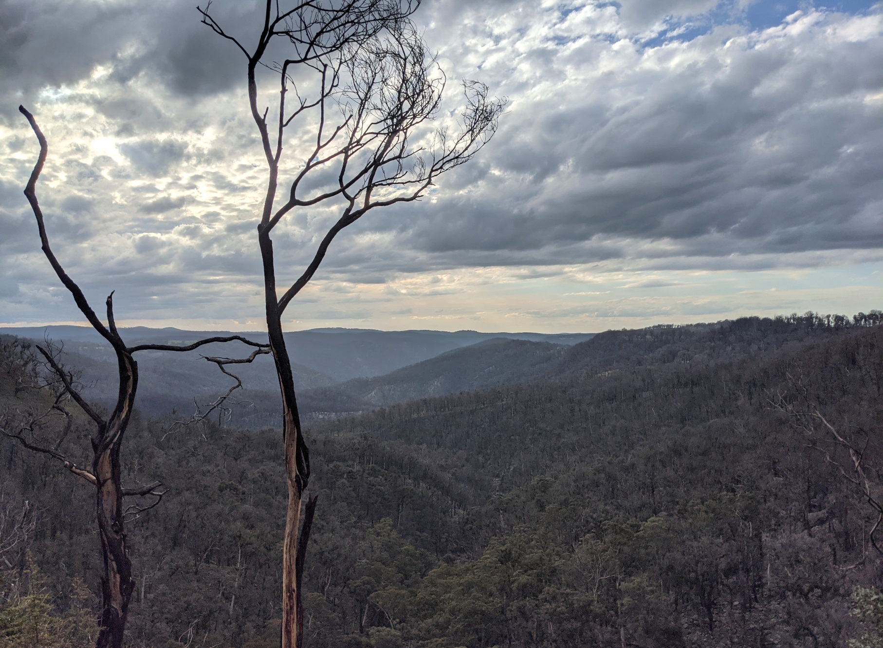 ebor valley new south wales