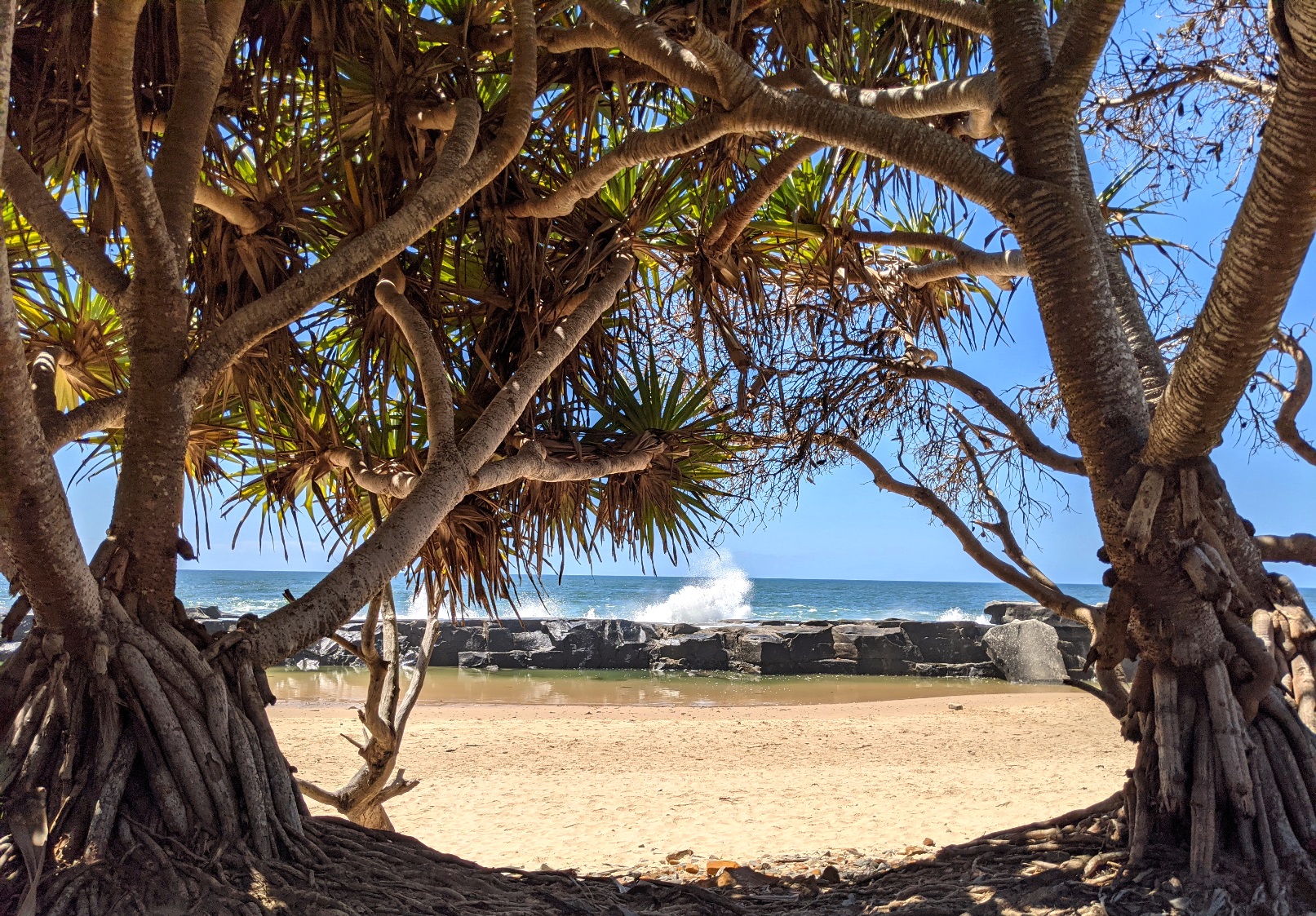 yamba, new south wales