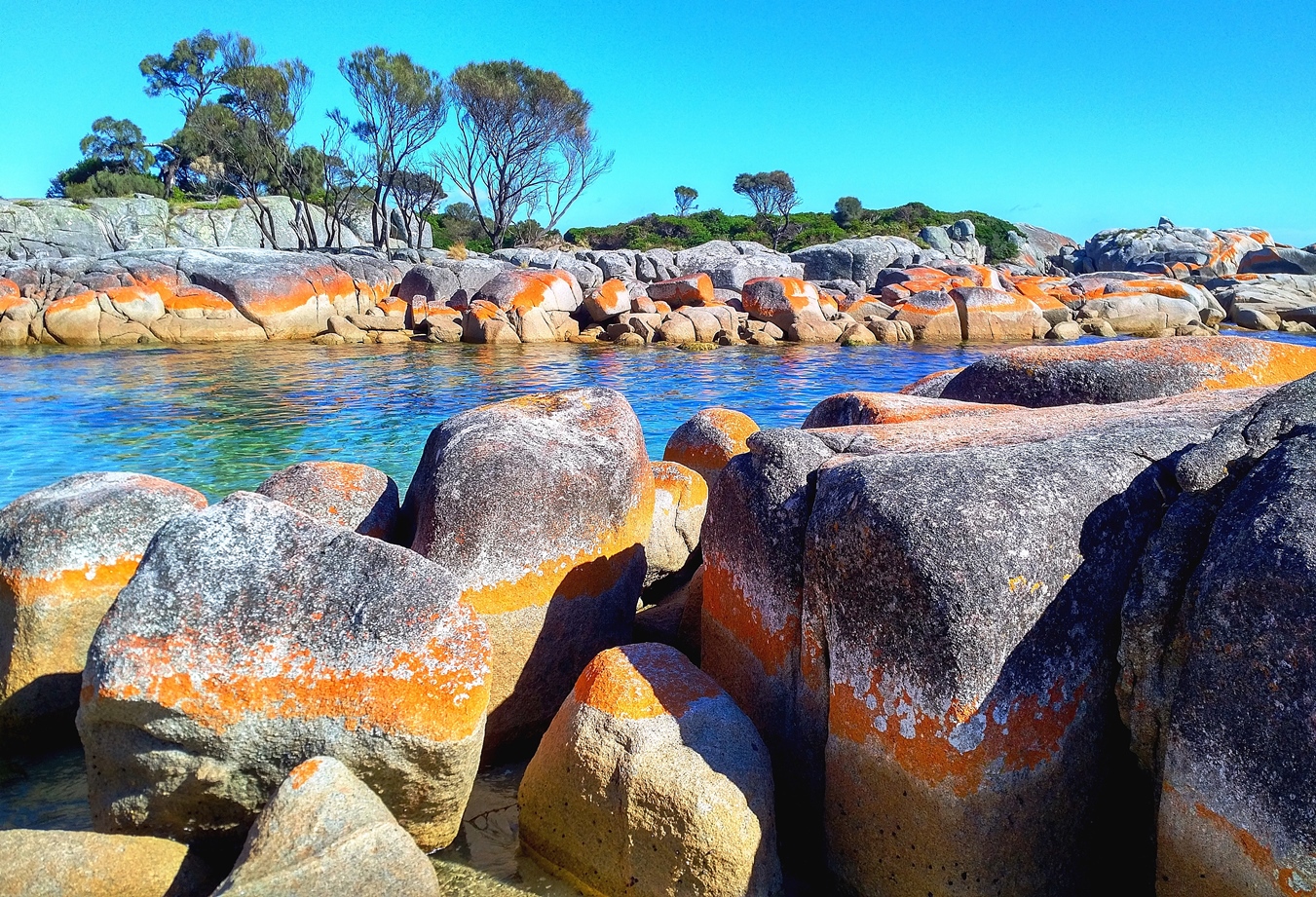 bay of fires tasmania