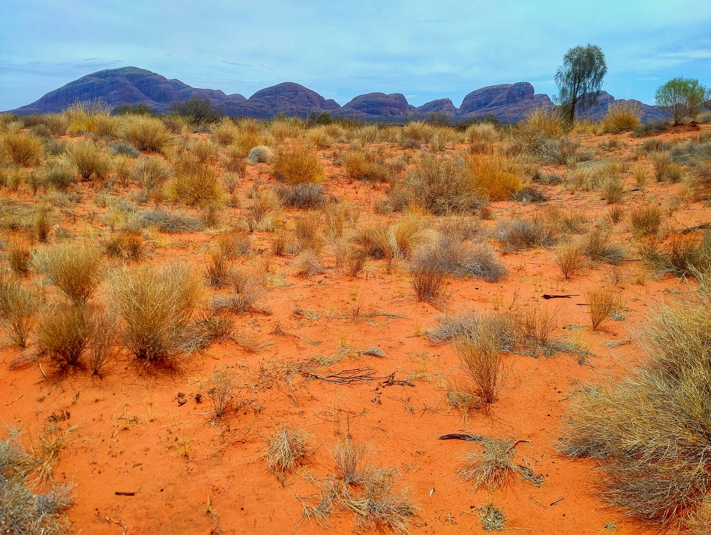 Kata Tjuta mountains