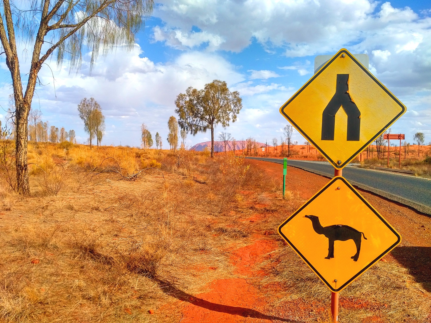 camel diamond sign outback