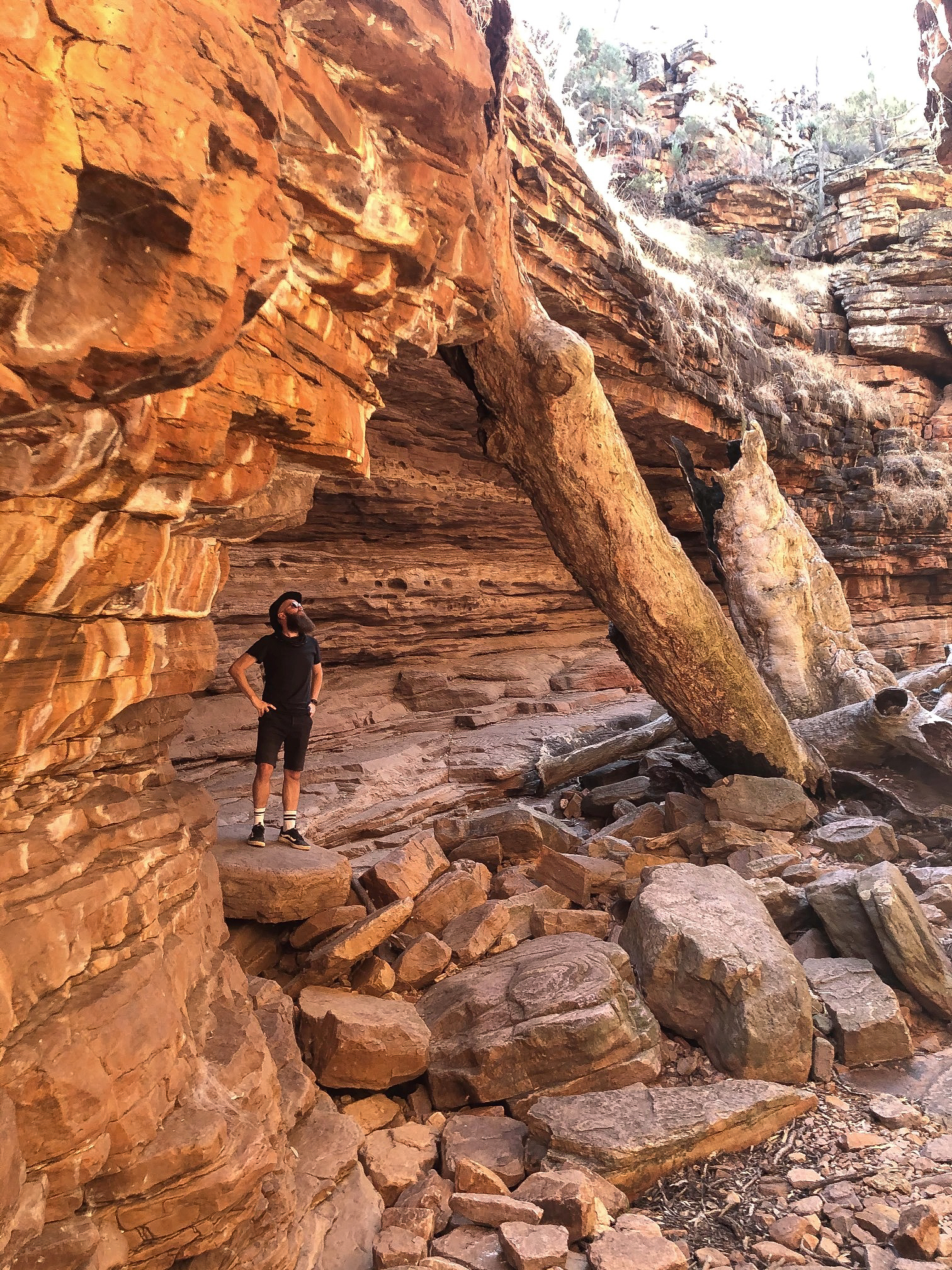 alligator gorge south australia