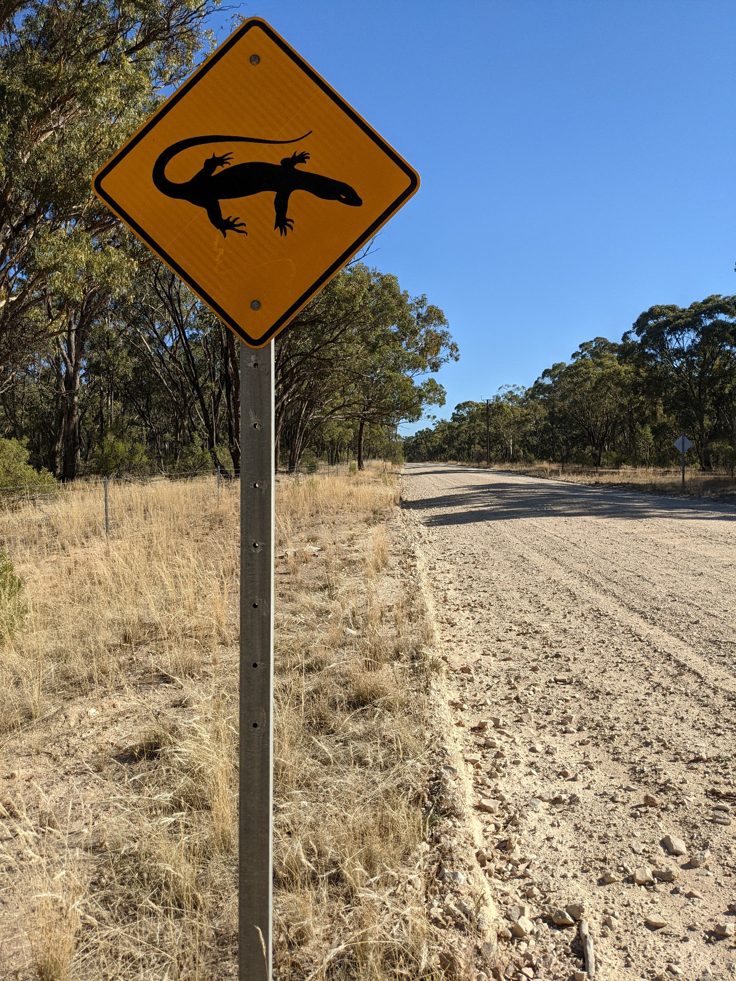 goanna wildlife sign