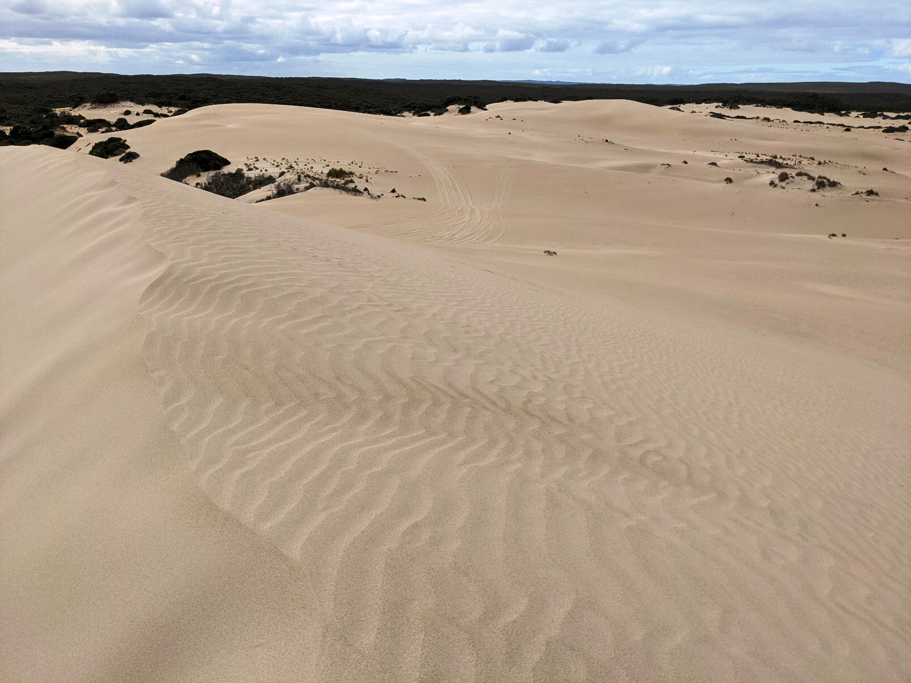 little sahara sand dunes