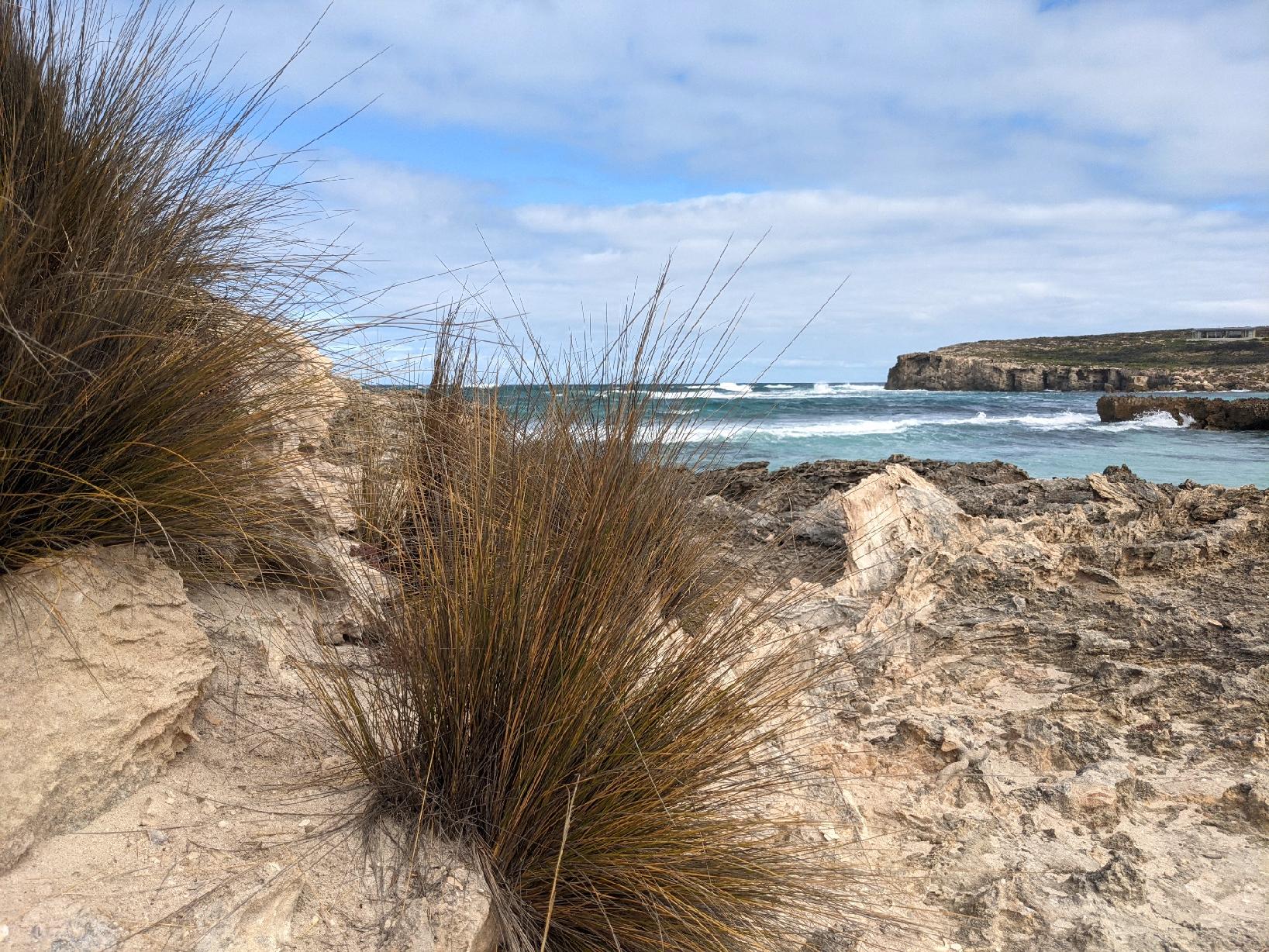 hanson bay beach kangaroo island