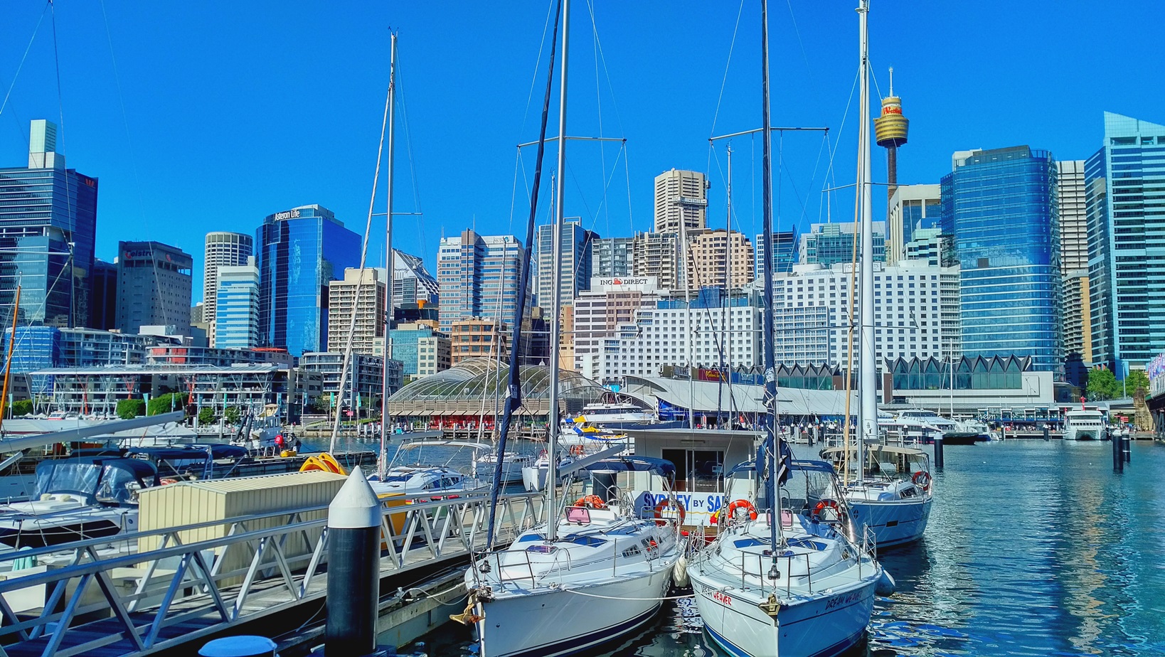 darling harbour skyline