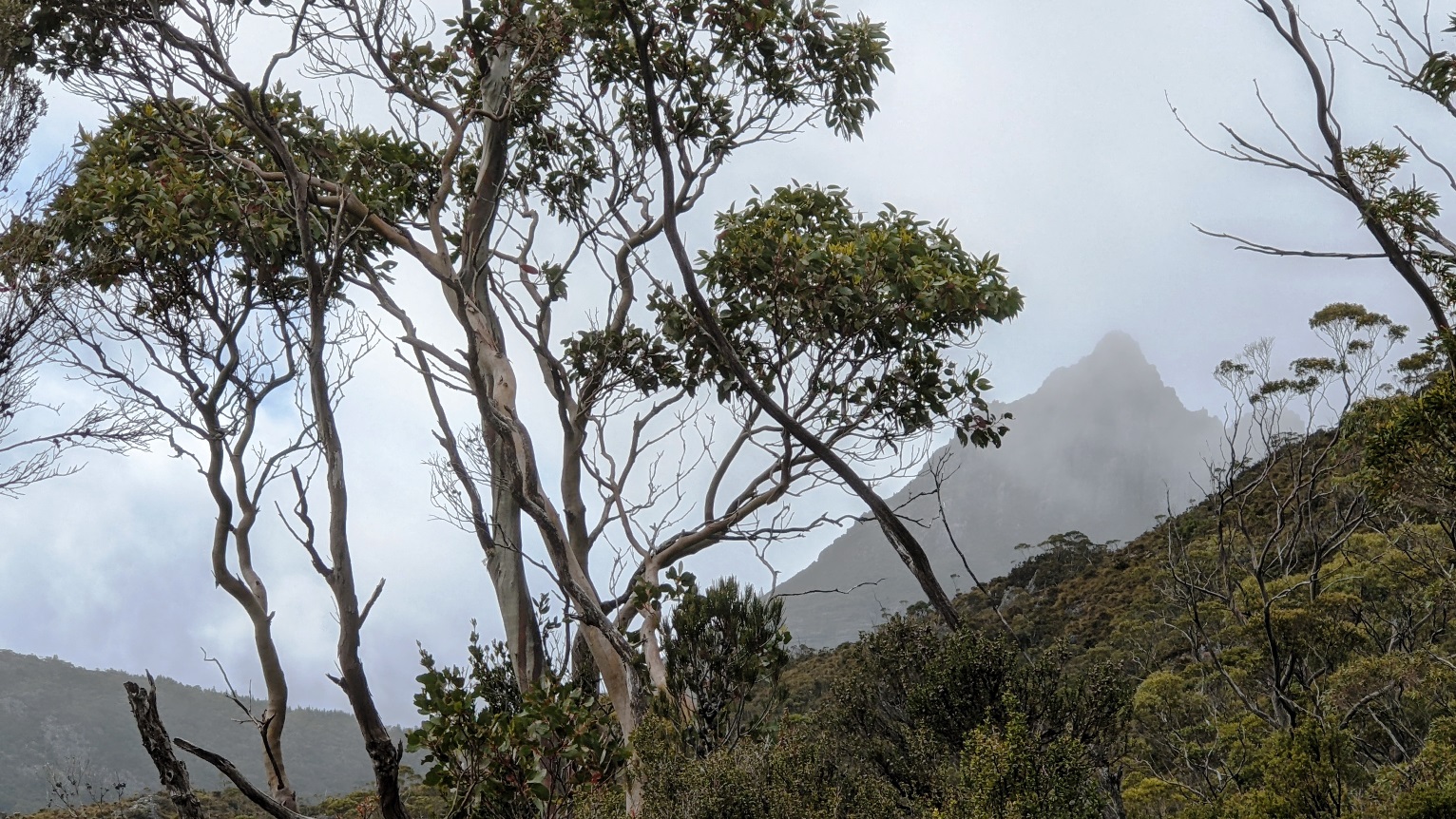 cradle mountain mist