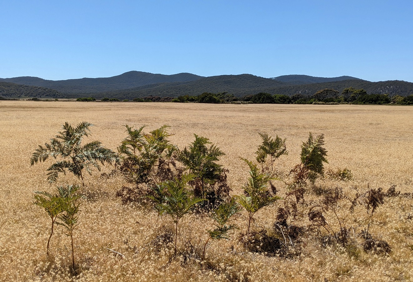 Narawntapu National Park