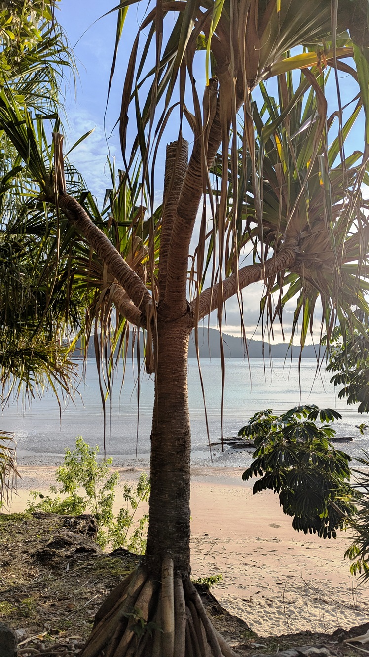 Hamilton Island View