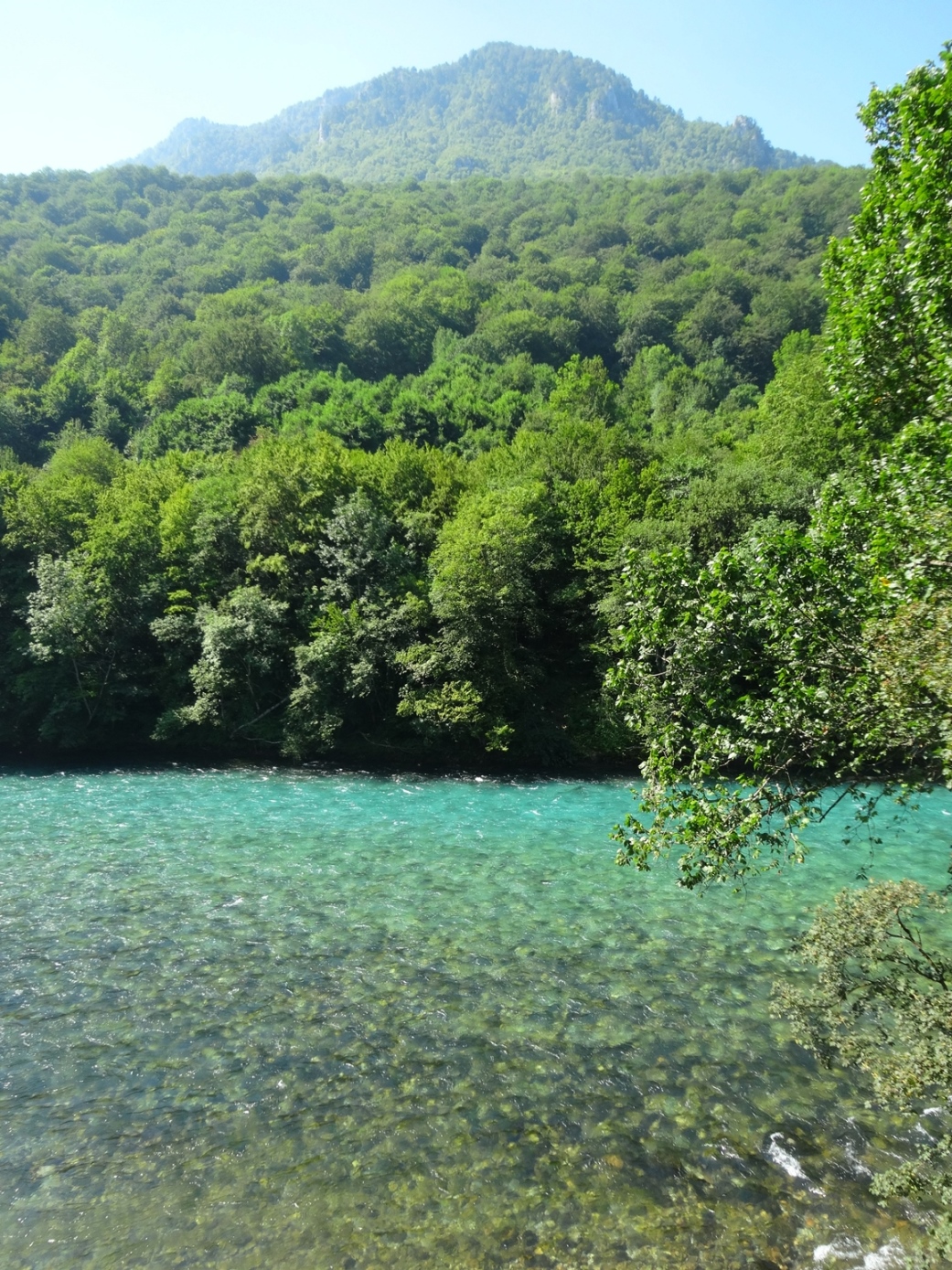 tara canyon turquoise