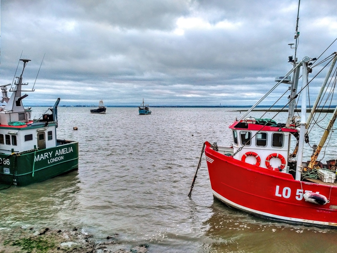 old leigh, england