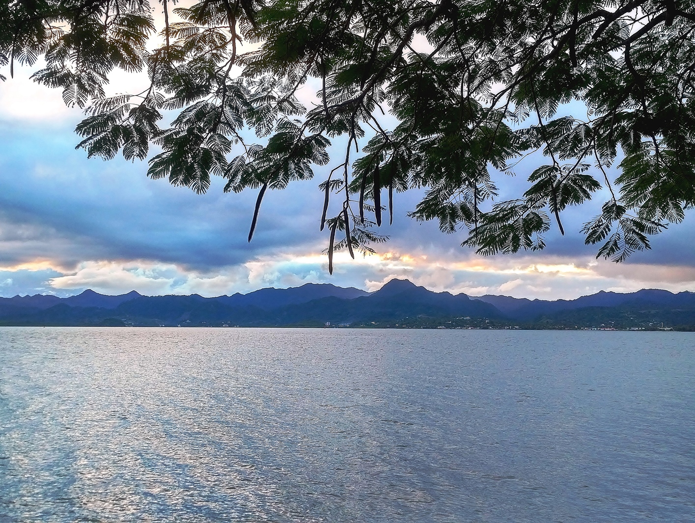 suva harbour