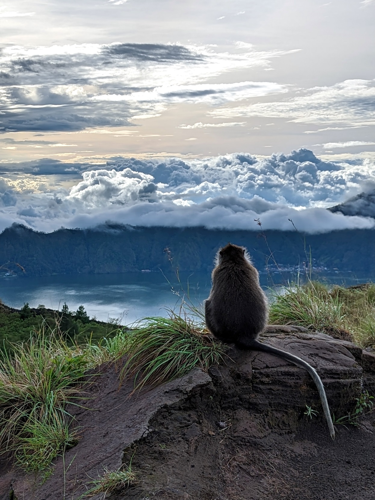 macaque mount batur hike