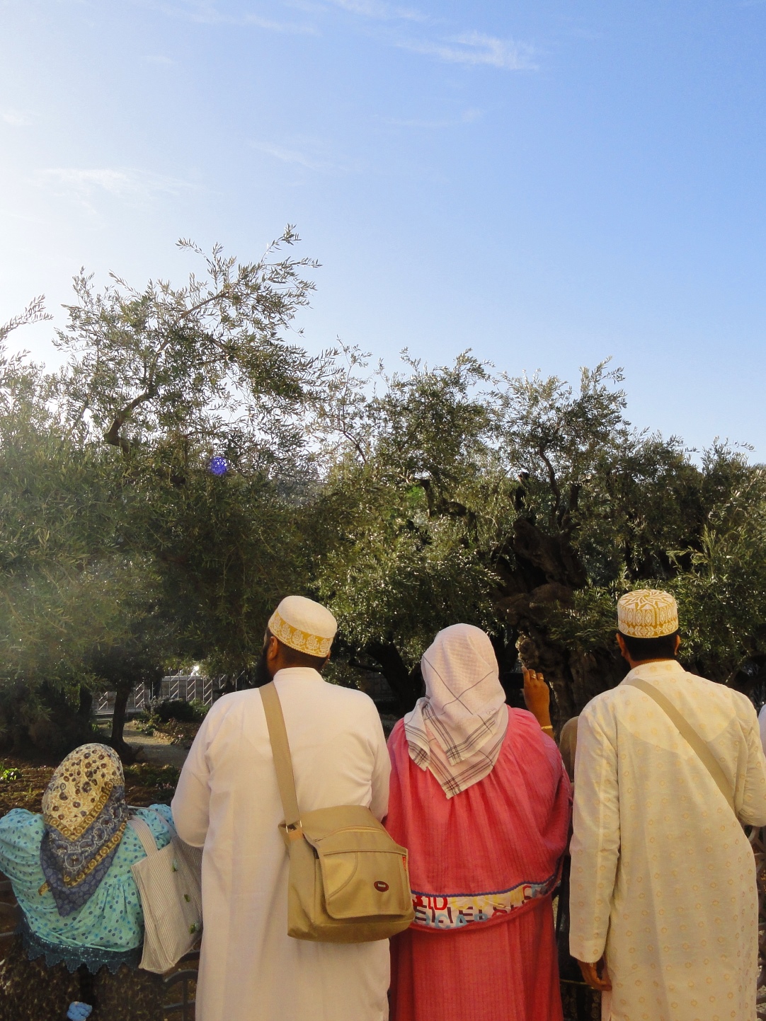 Garden of Gethsemane.