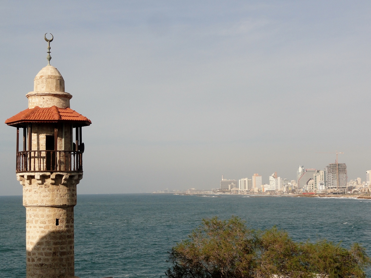 jaffa mosque